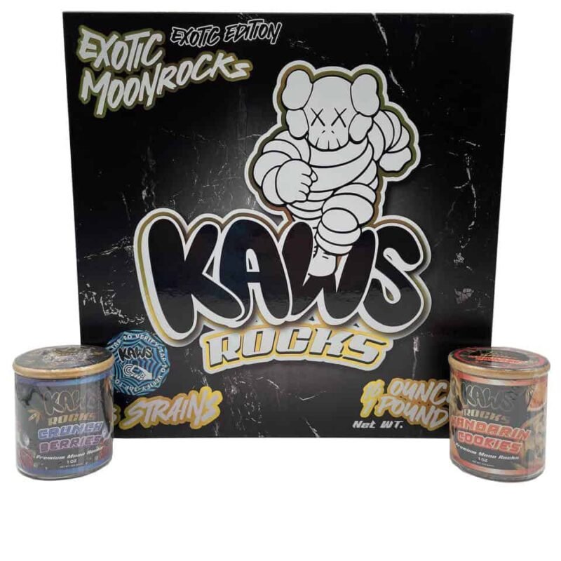 KAWS EXOTIC MOONROCKS
