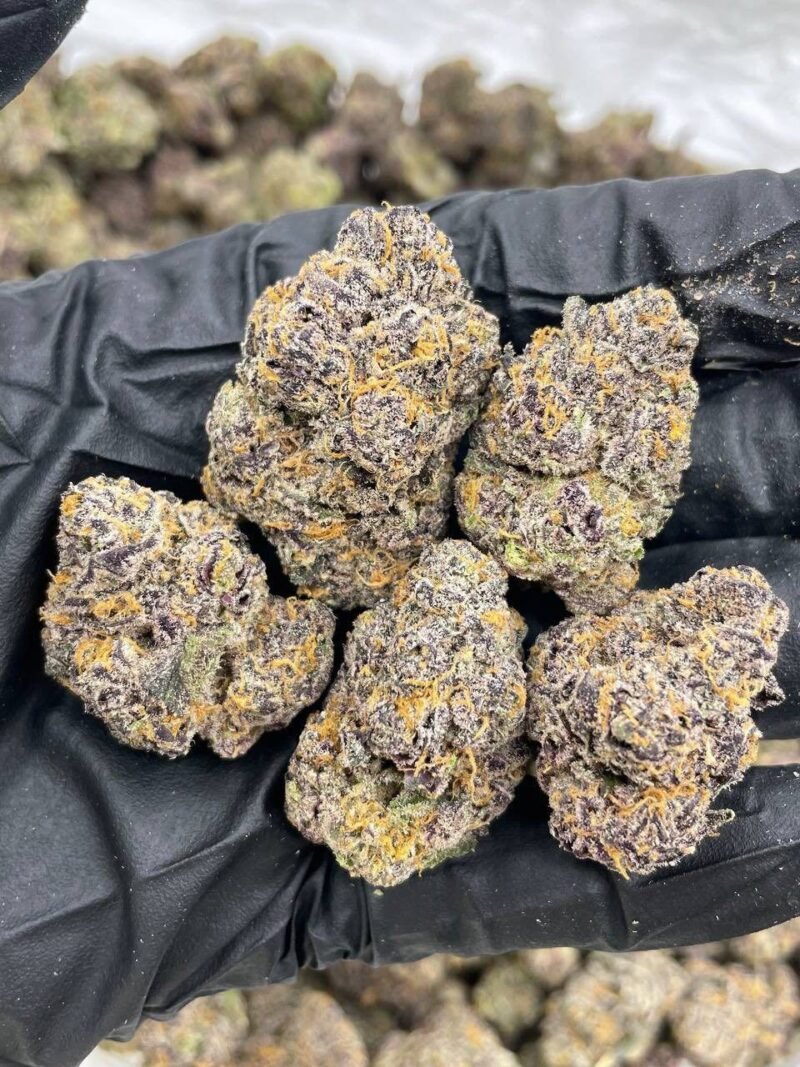 SUPER LEMONS