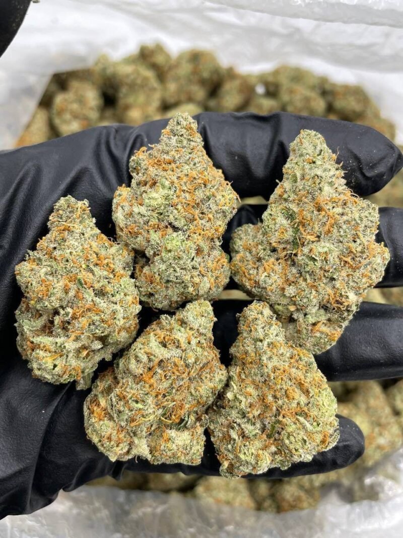 STRAWBERRY ZLUSHIE