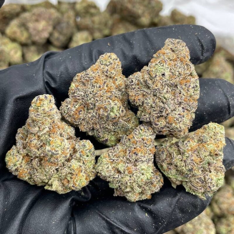 RAINBOW SPRINKLES