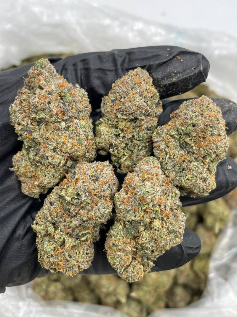 SKITTLEZ PIE