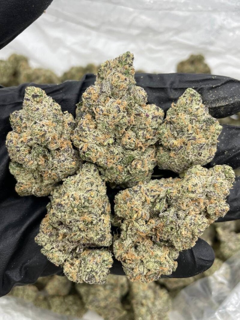 CHERRY ZOURS