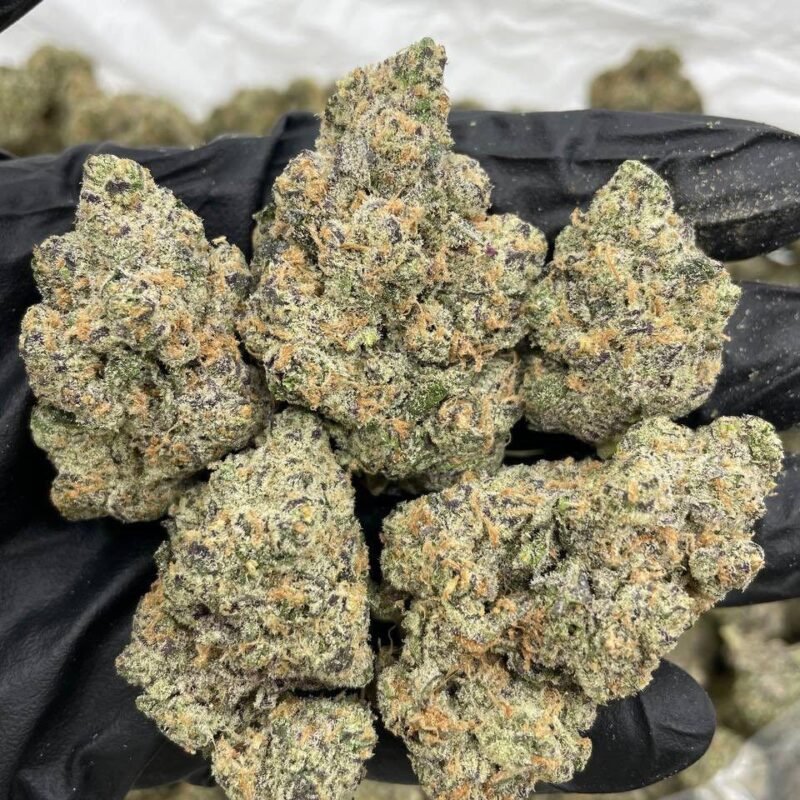 CHERRY ZOURS