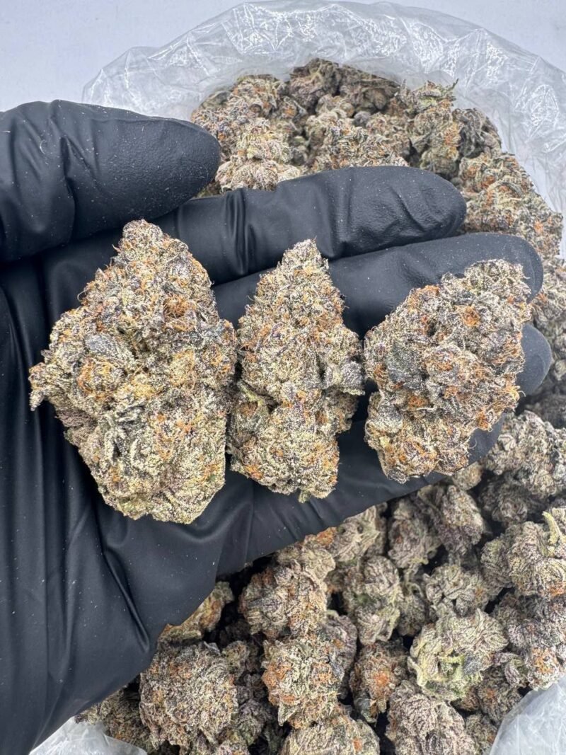 PURPLE CREAM