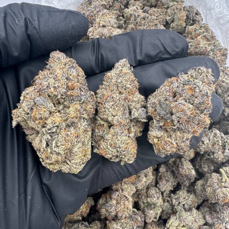 PURPLE CREAM