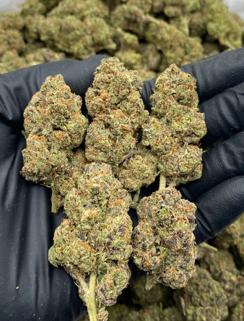 LEMON CHERRY GELATO