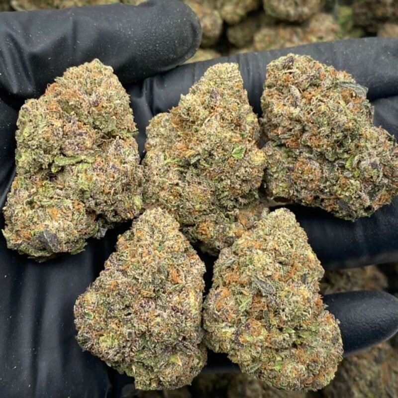 CANDY 41