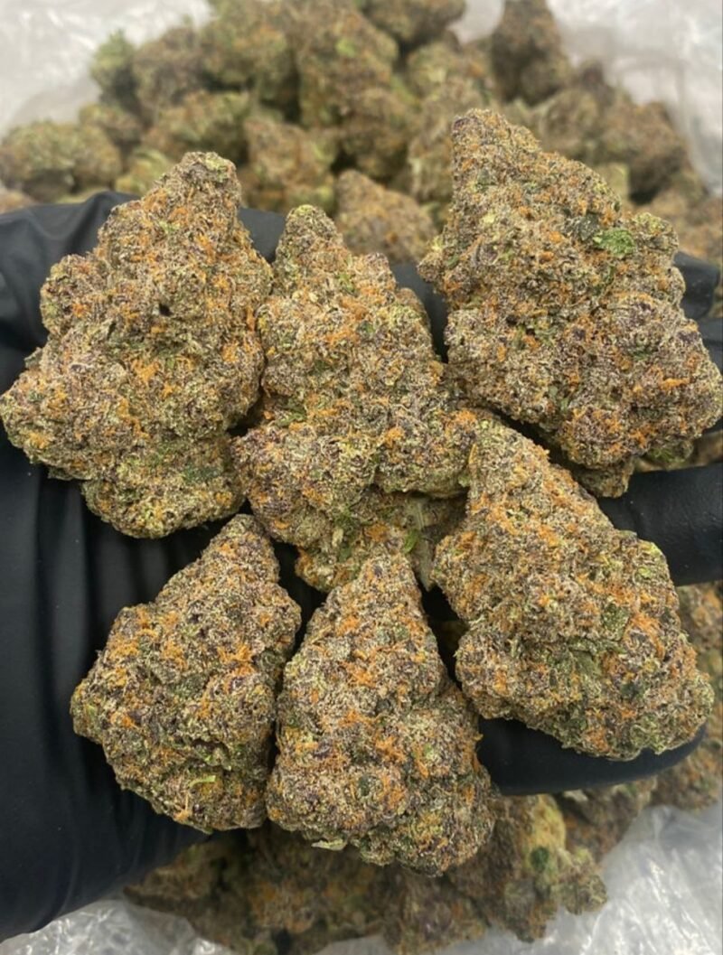 GUMBO GUMDROP
