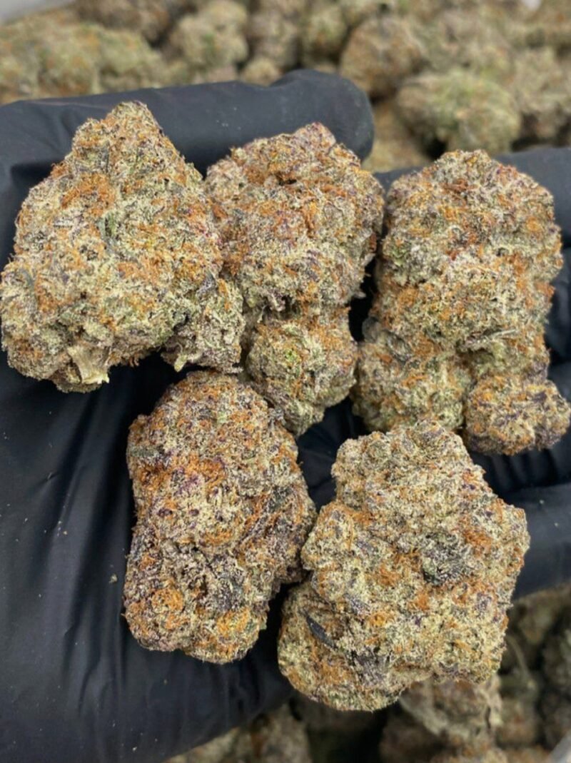 RAINBOW OREOZ
