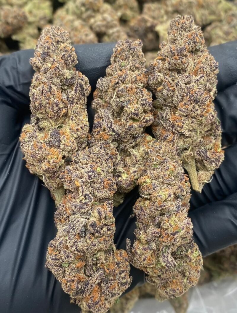 PURPLE GLITTER RUNTZ