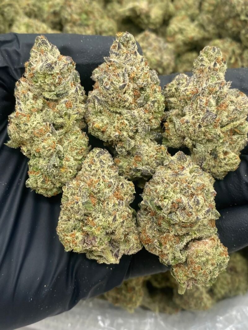 BLACK ICE